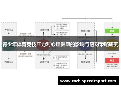青少年体育竞技压力对心理健康的影响与应对策略研究